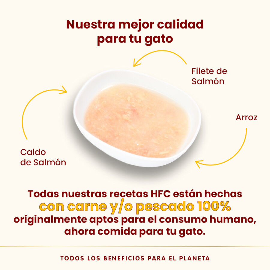 50 g Almo Nature HFC Hydration Help Sach&ecirc; de caldo de salm&atilde;o para gatos, , large Imagem n&uacute;mero 3